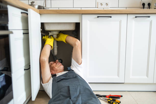 Best Local Plumber Services  in Brilliant, AL
