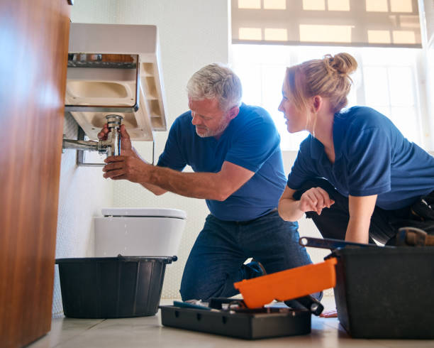 Best Plumbing Repair Near Me  in Brilliant, AL